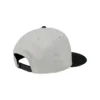 TAILGATE SNAPBACK